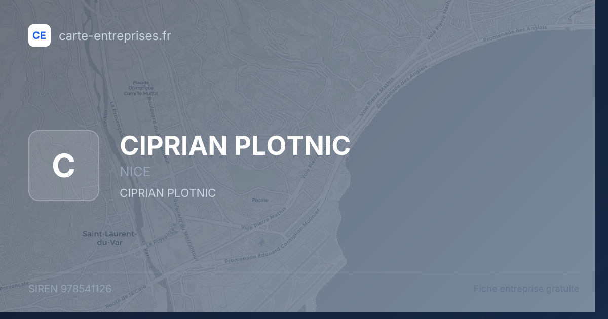 CIPRIAN PLOTNIC — 978541126 — fiche entreprise