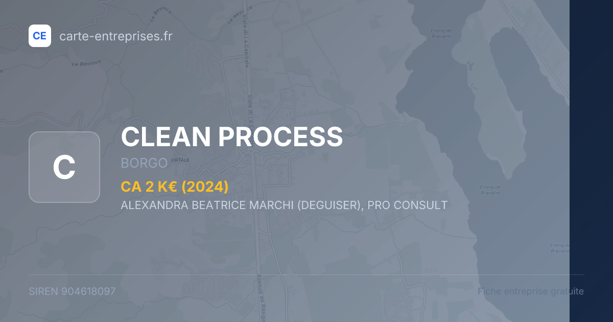 CLEAN PROCESS — 904618097 — fiche entreprise