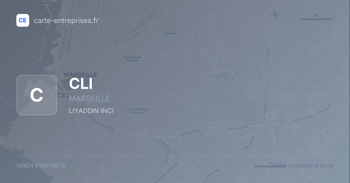 CLI — 919076679 — fiche entreprise