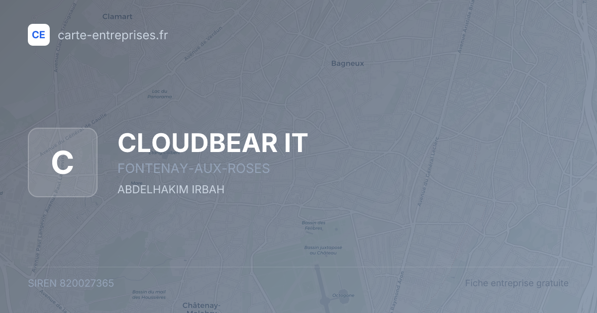 CLOUDBEAR IT — 820027365 — fiche entreprise