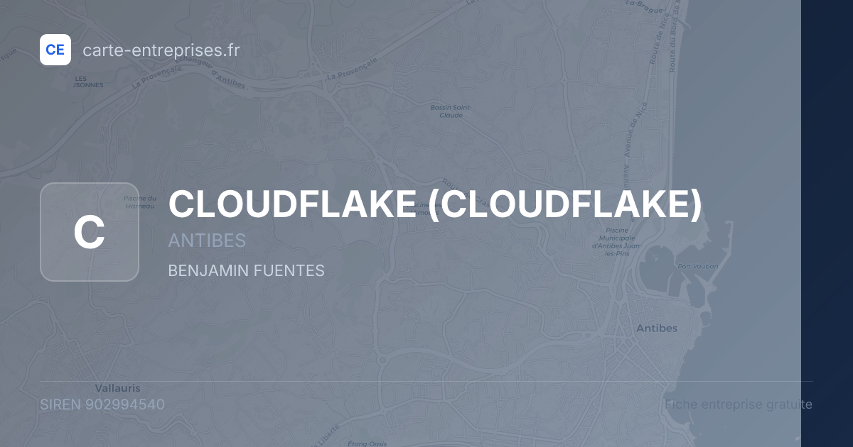 CLOUDFLAKE — 902994540 — fiche entreprise