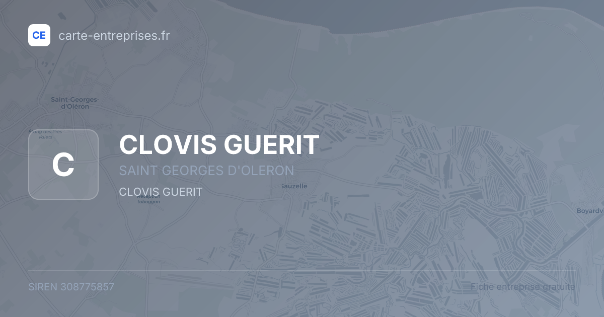 CLOVIS GUERIT — 308775857 — fiche entreprise