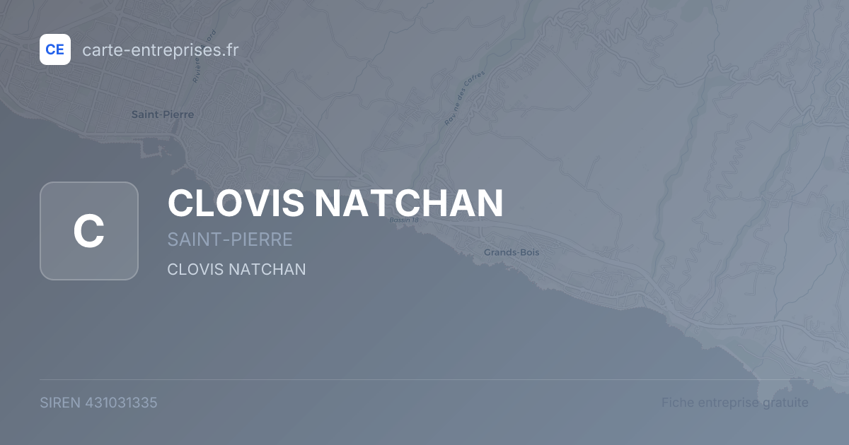 CLOVIS NATCHAN — 431031335 — fiche entreprise
