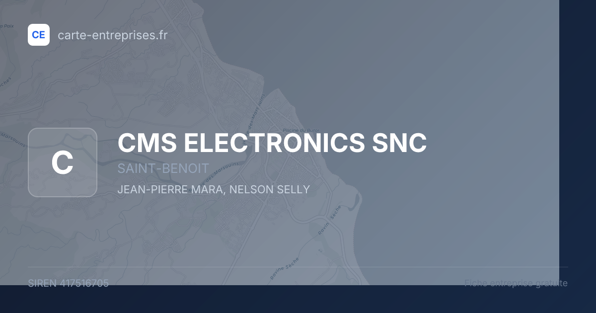 CMS ELECTRONICS SNC — 417516705 — fiche entreprise