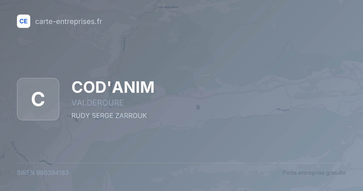 COD'ANIM — 980394183 — fiche entreprise