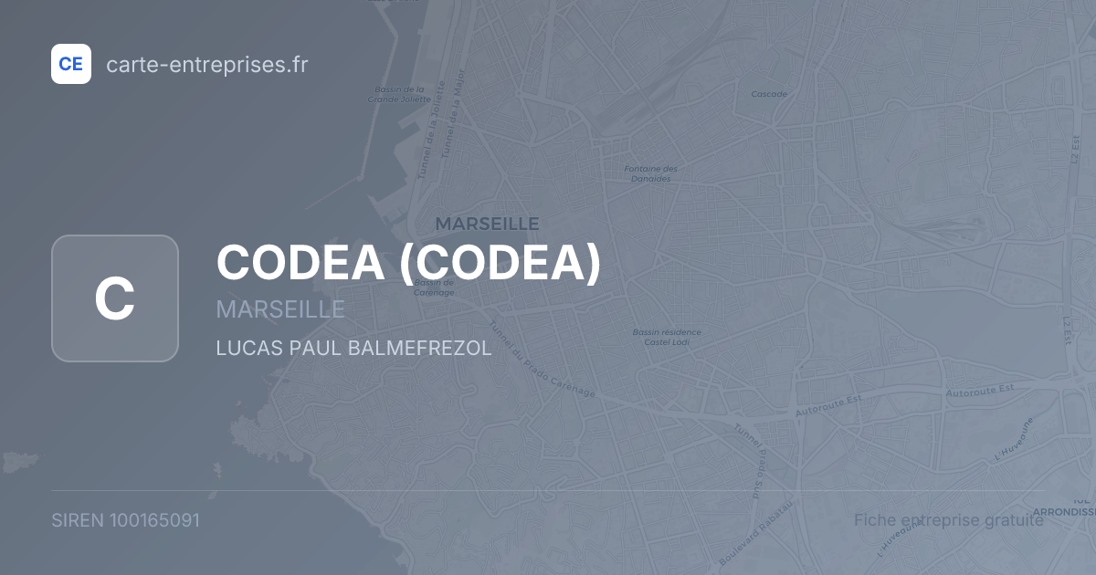 CODEA — 100165091 — fiche entreprise
