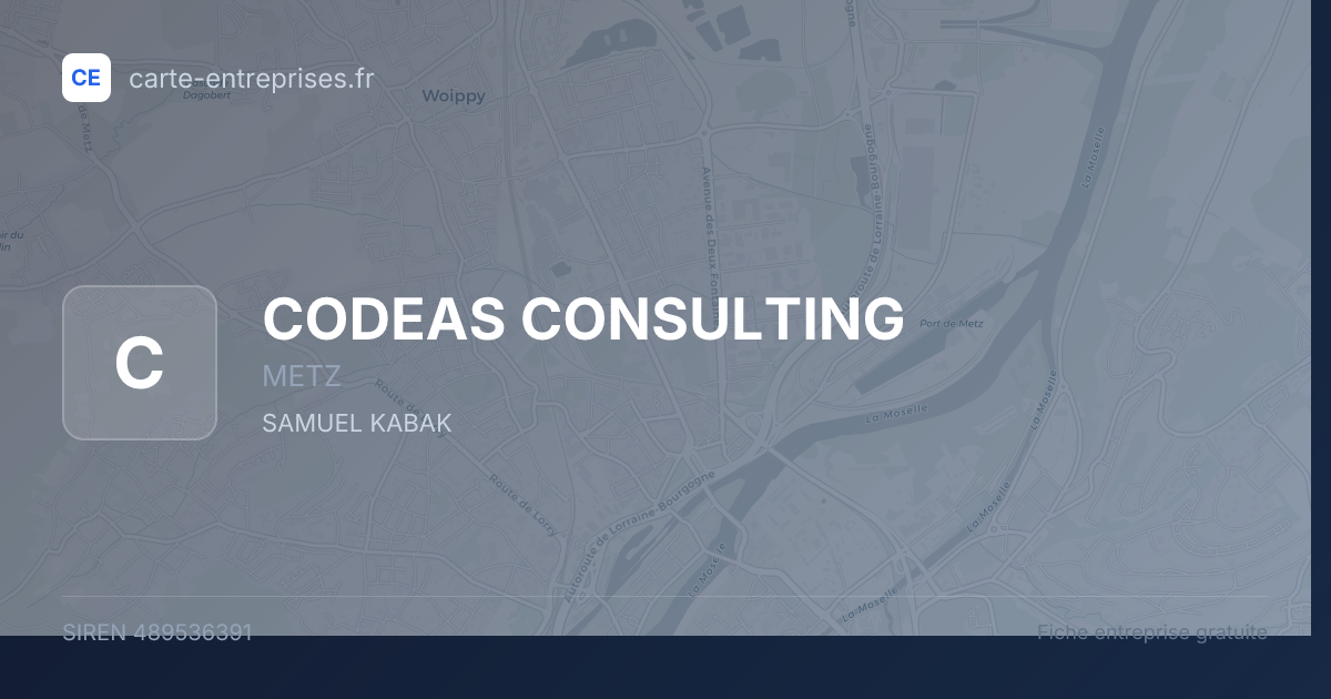 CODEAS CONSULTING — 489536391 — fiche entreprise