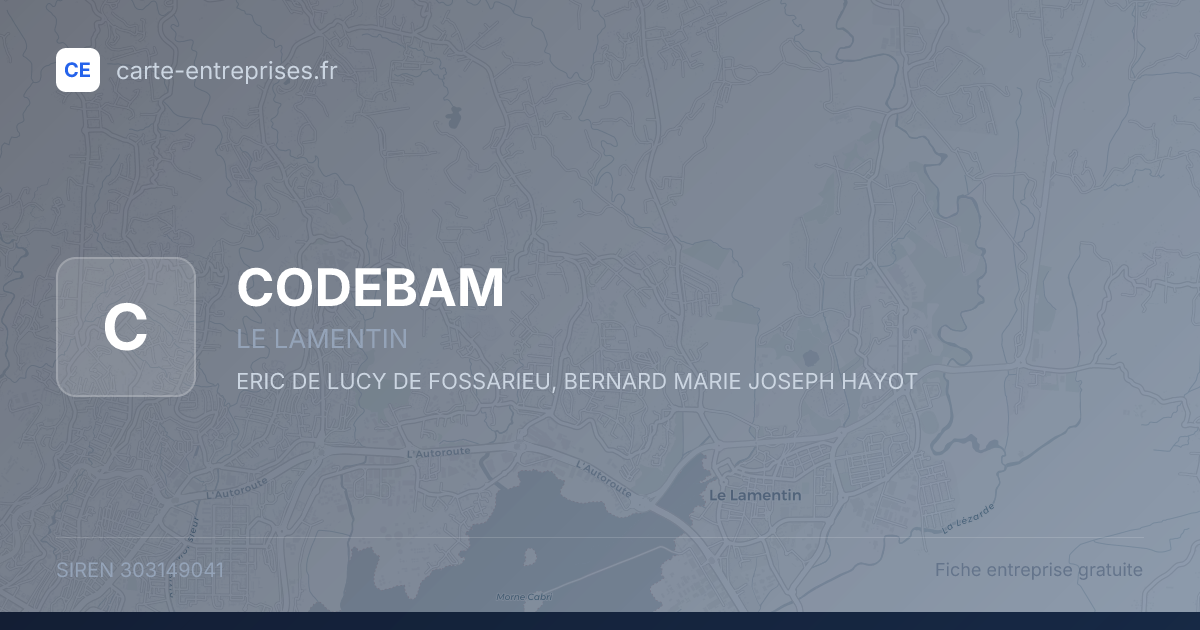 CODEBAM — 303149041 — fiche entreprise