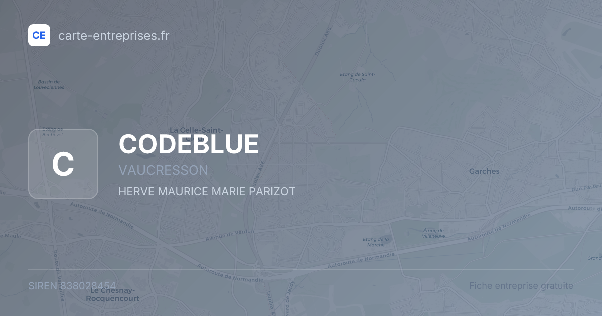CODEBLUE — 838028454 — fiche entreprise