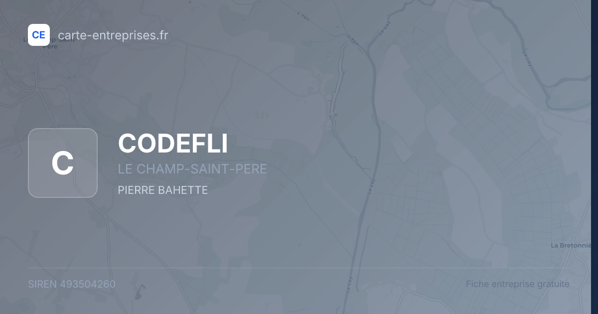 CODEFLI — 493504260 — fiche entreprise