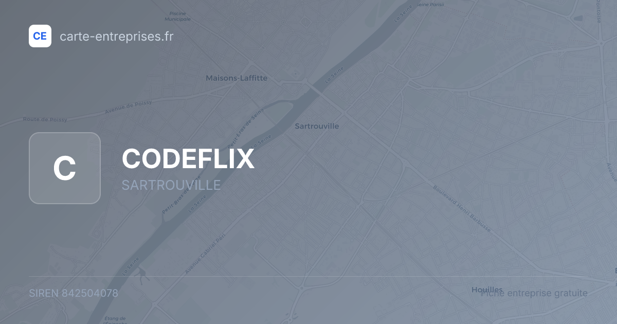 CODEFLIX — 842504078 — fiche entreprise