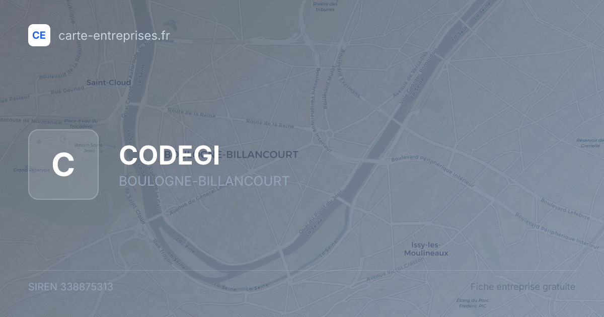 CODEGI — 338875313 — fiche entreprise