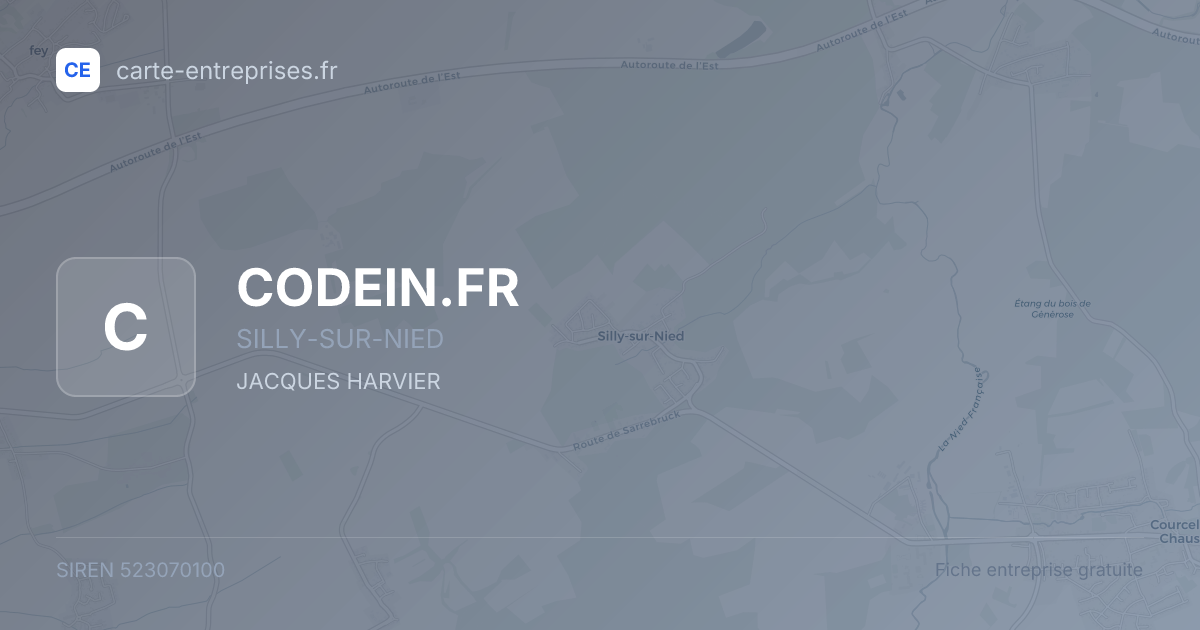 CODEIN.FR — 523070100 — fiche entreprise