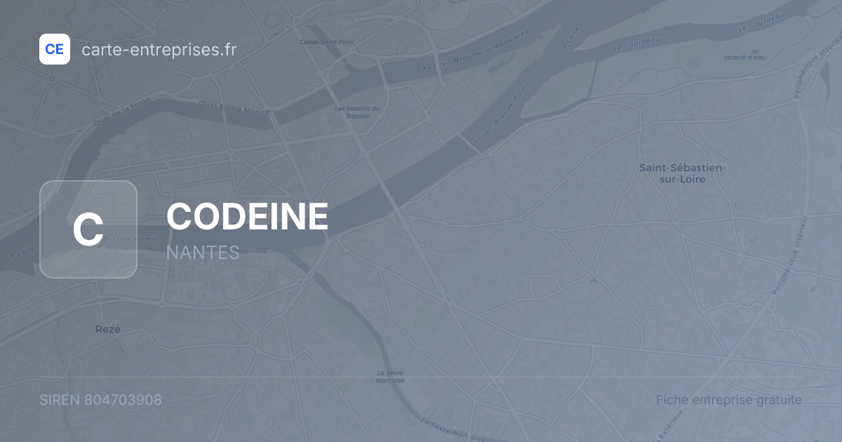 CODEINE — 804703908 — fiche entreprise