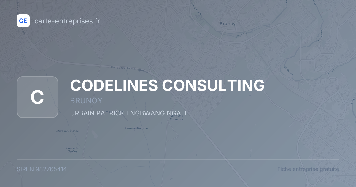 CODELINES CONSULTING — 982765414 — fiche entreprise