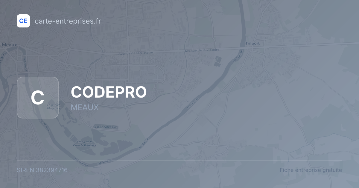 CODEPRO — 382394716 — fiche entreprise