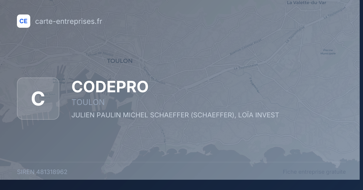 CODEPRO — 481318962 — fiche entreprise