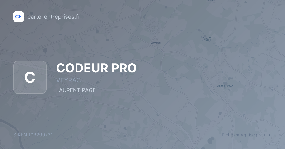 CODEUR PRO — 103299731 — fiche entreprise