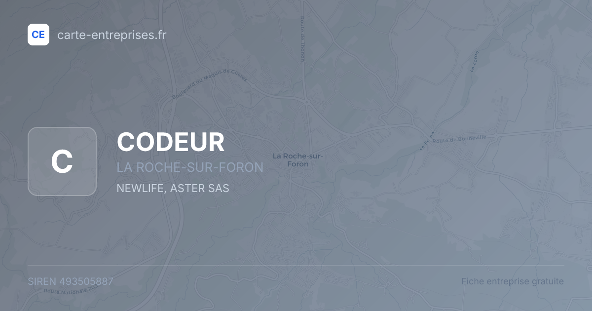 CODEUR — 493505887 — fiche entreprise