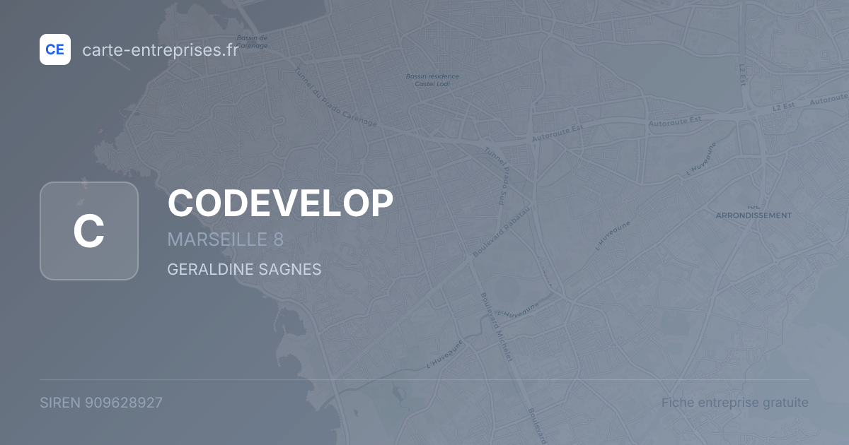 CODEVELOP — 909628927 — fiche entreprise
