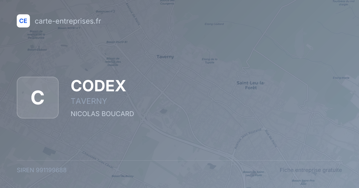 CODEX — 991199688 — fiche entreprise