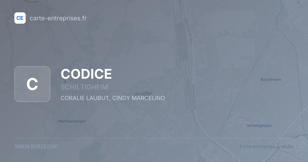 CODICE — 808252381 — fiche entreprise