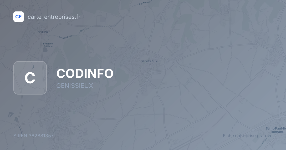CODINFO — 382881357 — fiche entreprise