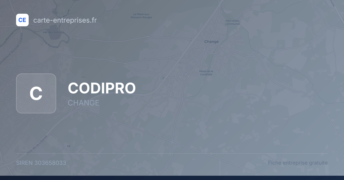 CODIPRO — 303658033 — fiche entreprise