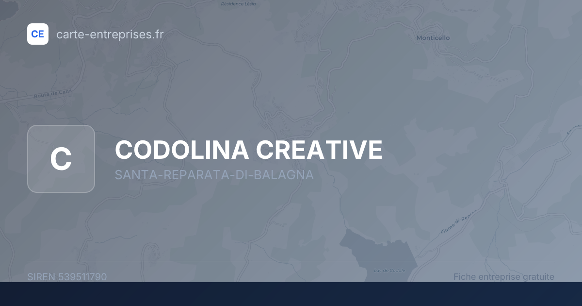 CODOLINA CREATIVE — 539511790 — fiche entreprise