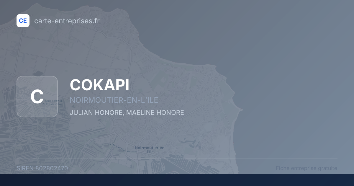 COKAPI — 802802470 — fiche entreprise