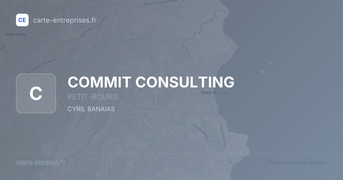 COMMIT CONSULTING — 988090577 — fiche entreprise