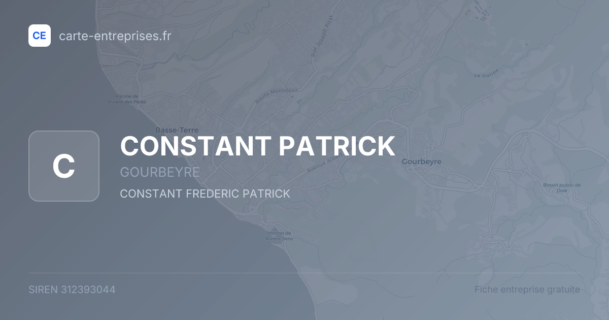 CONSTANT PATRICK — 312393044 — fiche entreprise