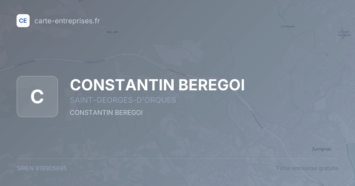 CONSTANTIN BEREGOI — 919905695 — fiche entreprise