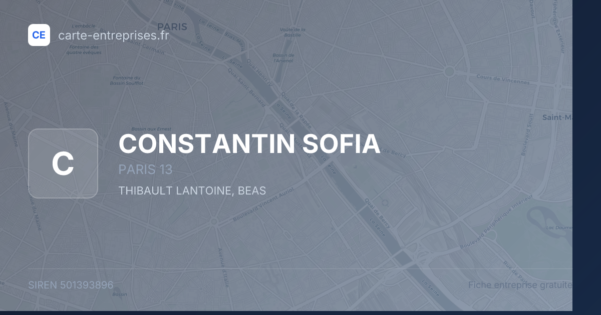 CONSTANTIN SOFIA — 501393896 — fiche entreprise