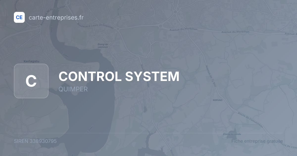 CONTROL SYSTEM — 338930795 — fiche entreprise