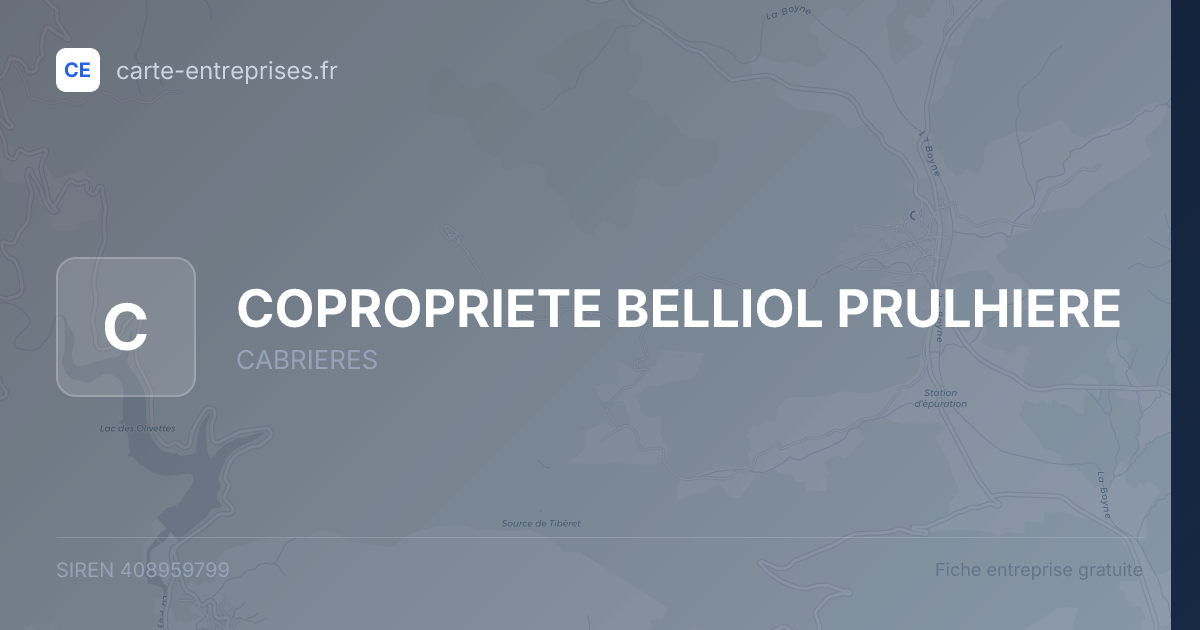 COPROPRIETE BELLIOL PRULHIERE — 408959799 — fiche entreprise