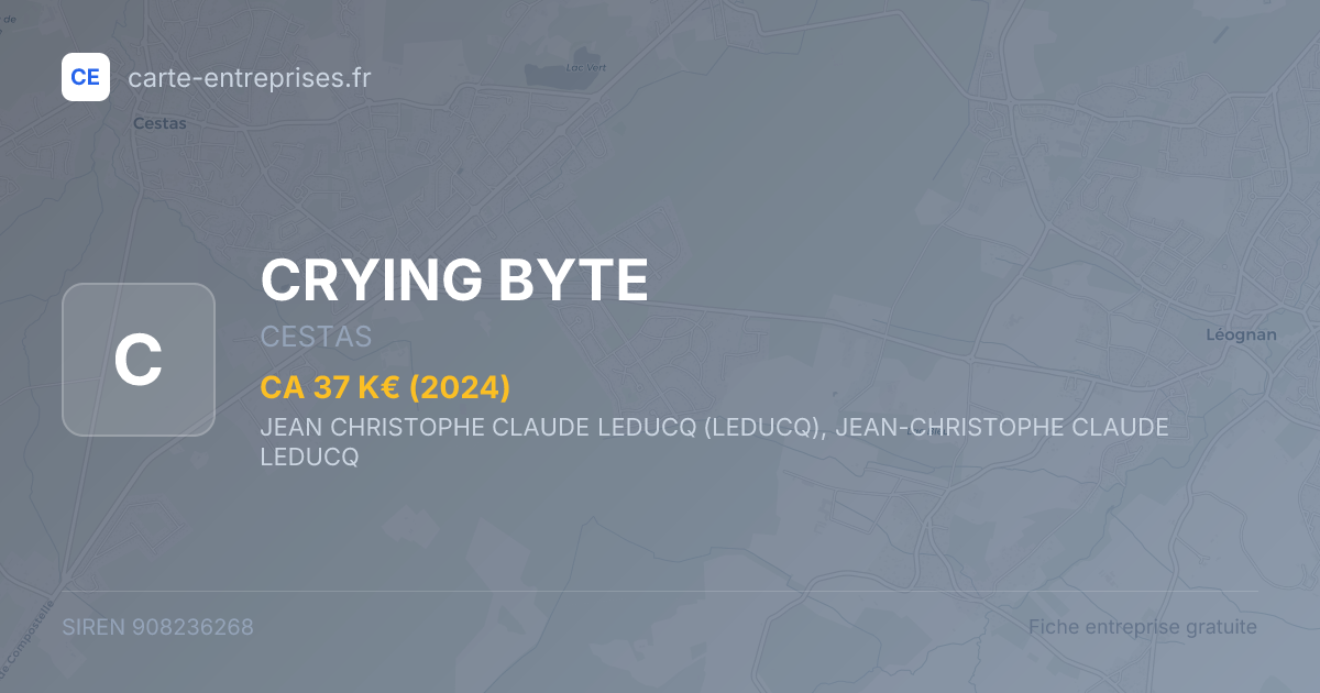 CRYING BYTE — 908236268 — fiche entreprise