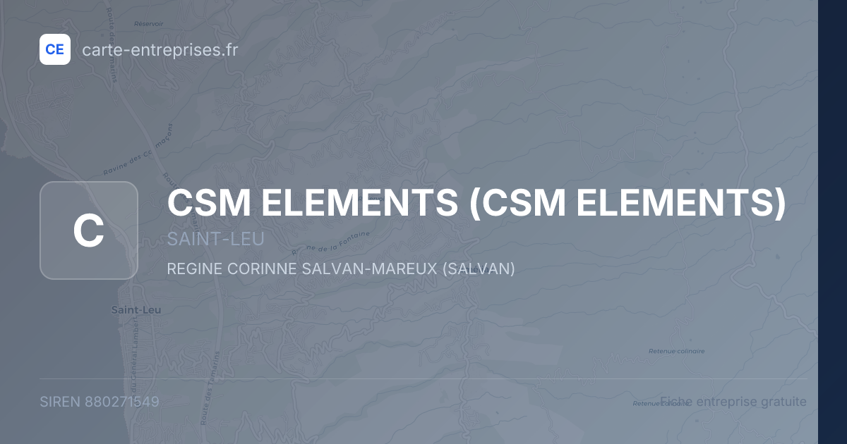 CSM ELEMENTS — 880271549 — fiche entreprise