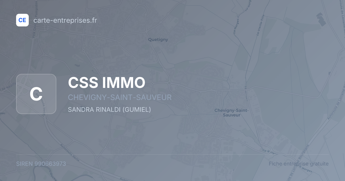 CSS IMMO — 990663973 — fiche entreprise