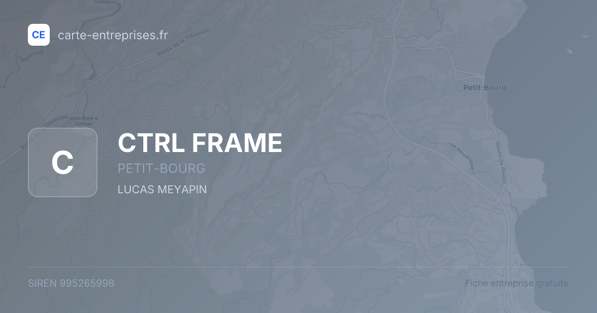 CTRL FRAME — 995265998 — fiche entreprise