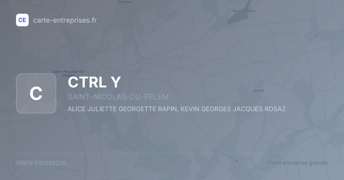 CTRL Y — 930329206 — fiche entreprise