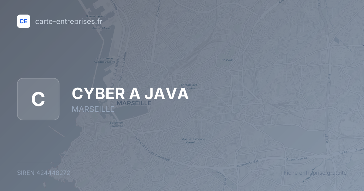 CYBER A JAVA — 424448272 — fiche entreprise