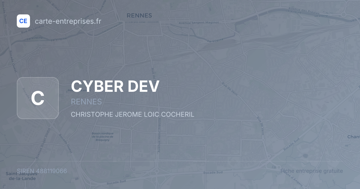 CYBER DEV — 488119066 — fiche entreprise
