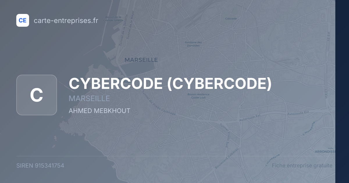 CYBERCODE — 915341754 — fiche entreprise