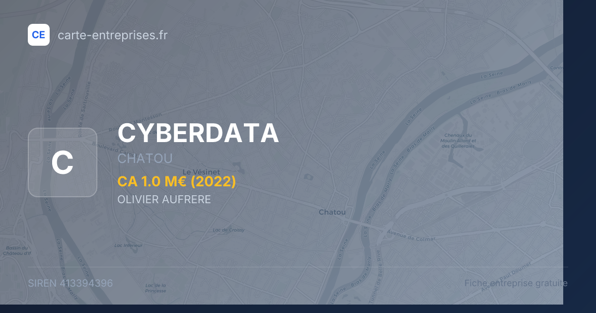 CYBERDATA — 413394396 — fiche entreprise