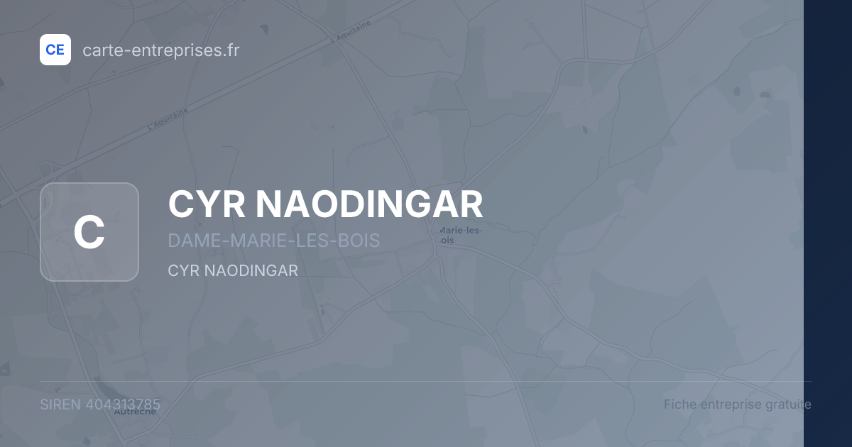 CYR NAODINGAR — 404313785 — fiche entreprise