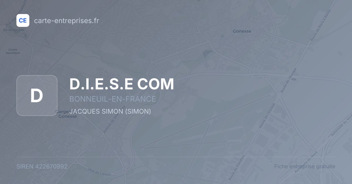 D.I.E.S.E COM — 422670992 — fiche entreprise