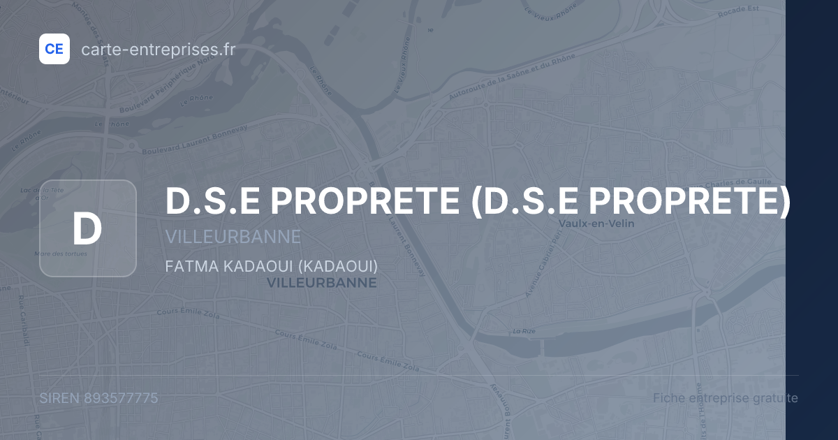 D.S.E PROPRETE — 893577775 — fiche entreprise