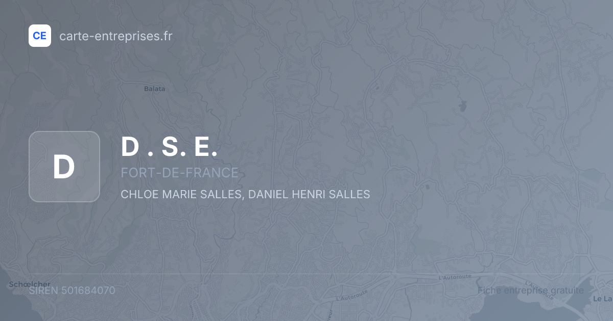 D . S. E. — 501684070 — fiche entreprise