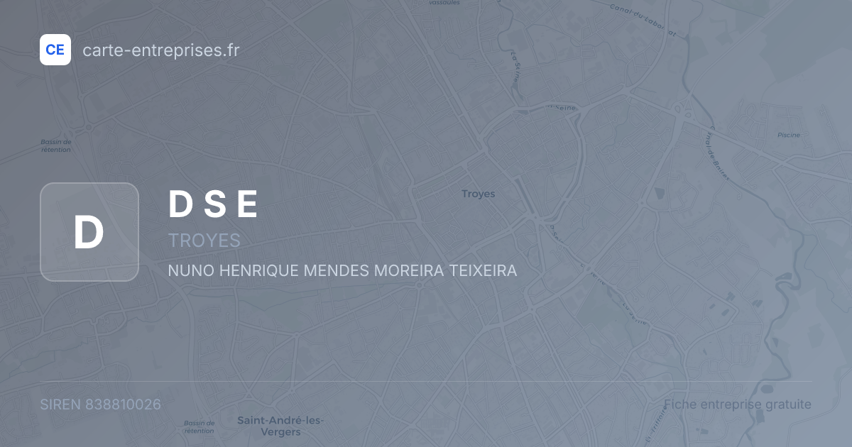 D S E — 838810026 — fiche entreprise